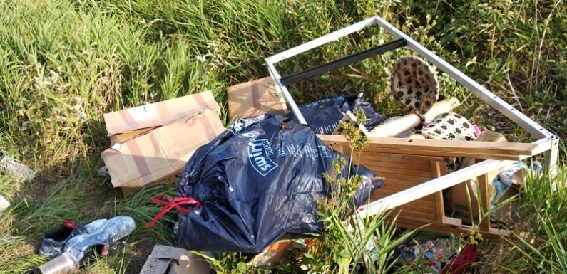 Illegale Müllentsorgung im „Scheier Bruch“