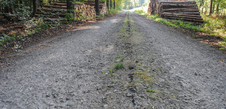 Motorschaden nach „Abkürzung“: Moderne Technik versagt im Schaumburger Wald