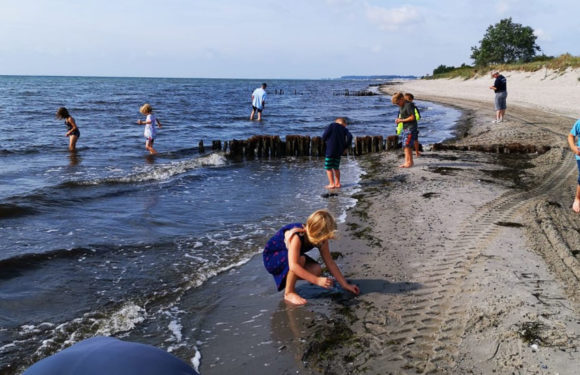 Kinderfeuerwehr Bad Eilsen im Zeltlager unterwegs