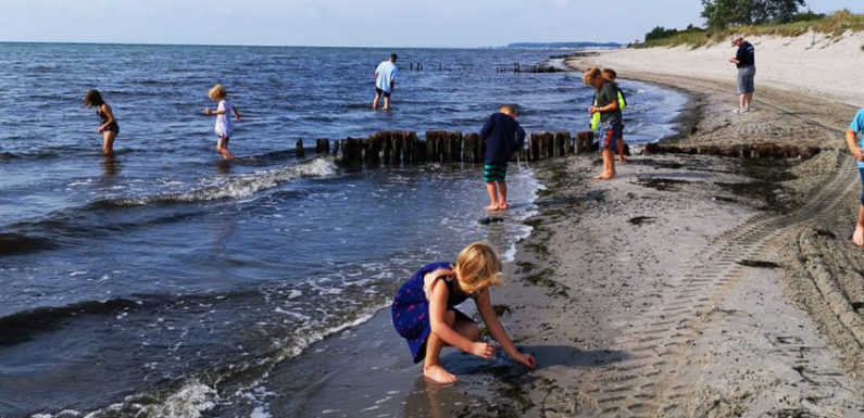 Kinderfeuerwehr Bad Eilsen im Zeltlager unterwegs