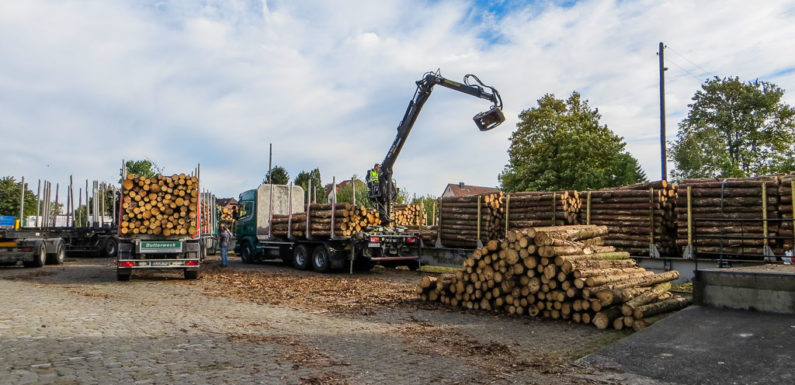Halteverbot auf Teilabschnitt der Bahnhofstraße in Obernkirchen