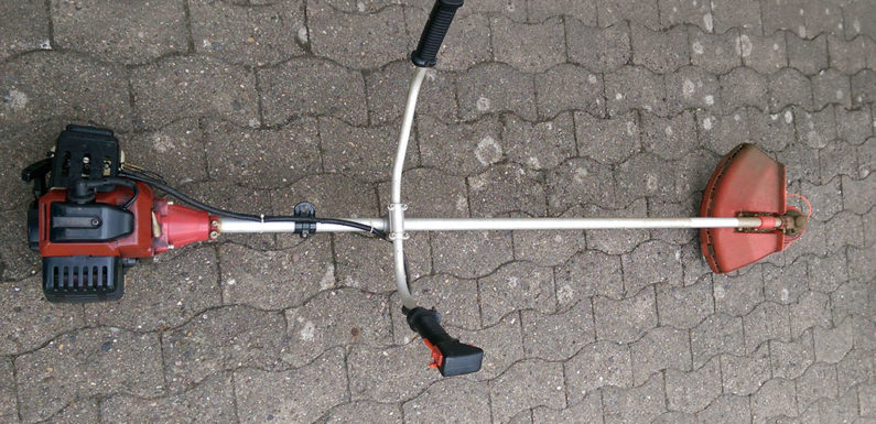 Wer vermisst eine Motorsense?