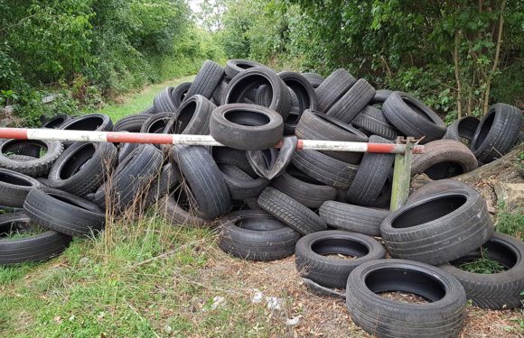 150 Autoreifen an der B83 illegal in Wald abgeladen