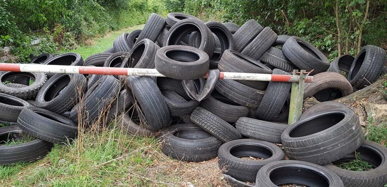 150 Autoreifen an der B83 illegal in Wald abgeladen