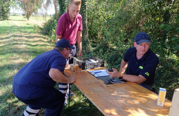Schützenverein Wölpinghausen gewinnt 9. Wiedenbrügger Fußgängerrallye