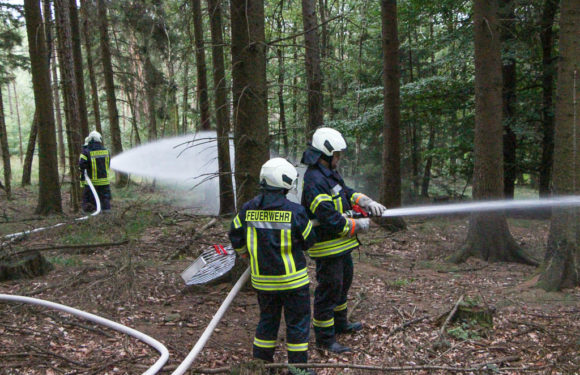 Kreisfeuerwehrbereitschaft Süd übt Waldbrandeinsatz