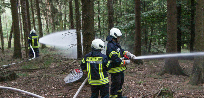 Kreisfeuerwehrbereitschaft Süd übt Waldbrandeinsatz