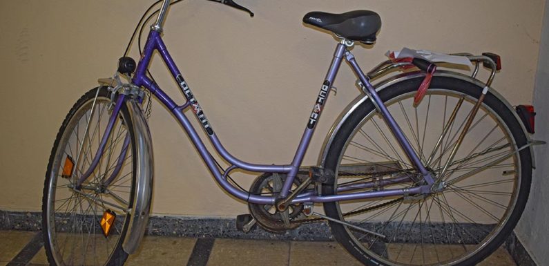 Stadthagen: Wem gehört dieses Damenrad?