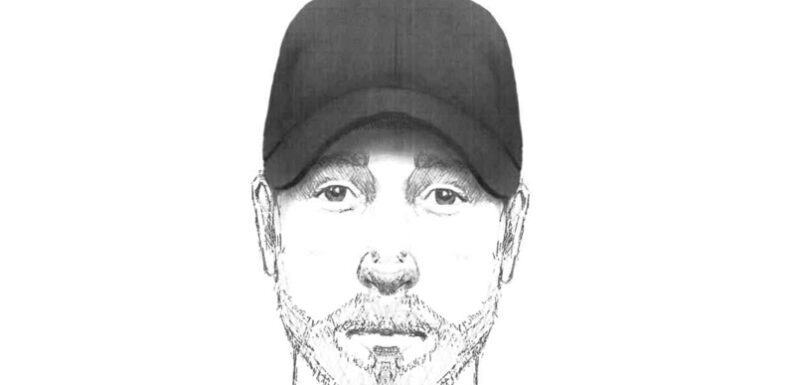 Bückeburg: Polizeifahndung mit Phantombild