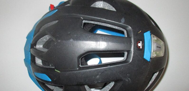 Unbekannter bewirft Schafe mit Steinen