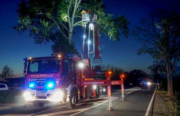 Windböen sorgen für Feuerwehreinsatz