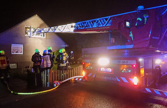 Feuerwehr rettet Bewohner und Katzen