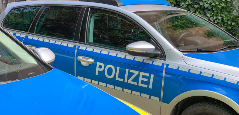 Ruhestörung und Überprüfung