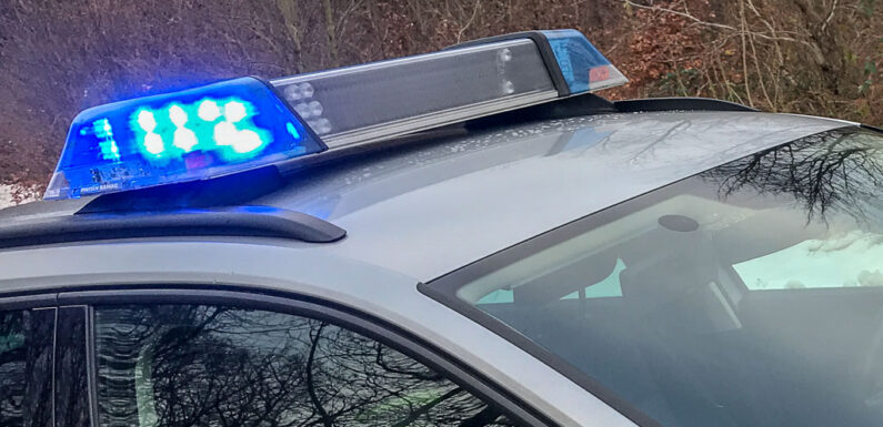 Polizei bekommt erneut Meldungen über Giftköder in Pollhagen