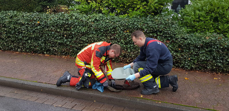 Bückeburger Feuerwehren überprüfen Hydranten im Stadtgebiet