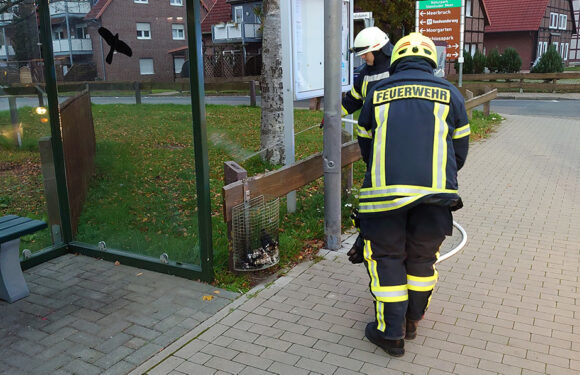 Brennender Mülleimer ruft Feuerwehr auf den Plan