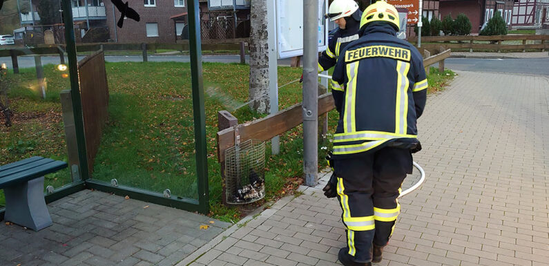 Brennender Mülleimer ruft Feuerwehr auf den Plan