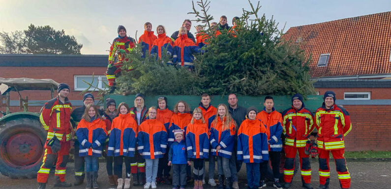 Bückeburger Jugendfeuerwehren sammeln über 2.000 Weihnachtsbäume ein