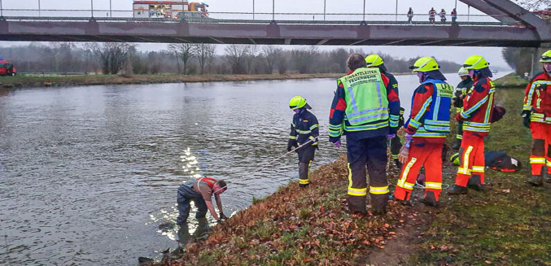 Feuerwehr holt Wildschwein aus Mittellandkanal