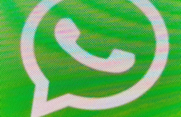 Kreisfeuerwehr Schaumburg startet eigenen WhatsApp-Kanal
