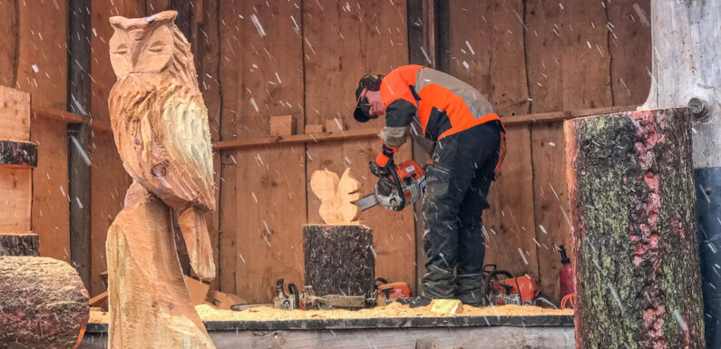 Rinteln: Brennholz- und Bauernmarkt plus Shopping-Sonntag