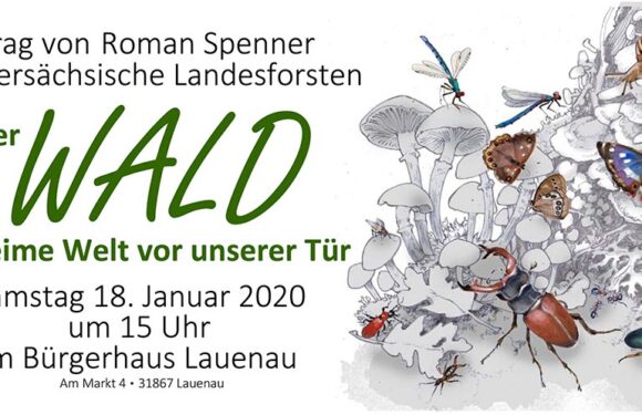 „Der Wald – geheime Welt vor unserer Tür“