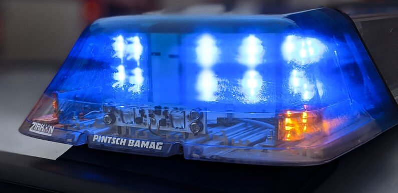 Ausgelegter Giftköder in Pollhagen: Polizei ermittelt Tatverdächtige