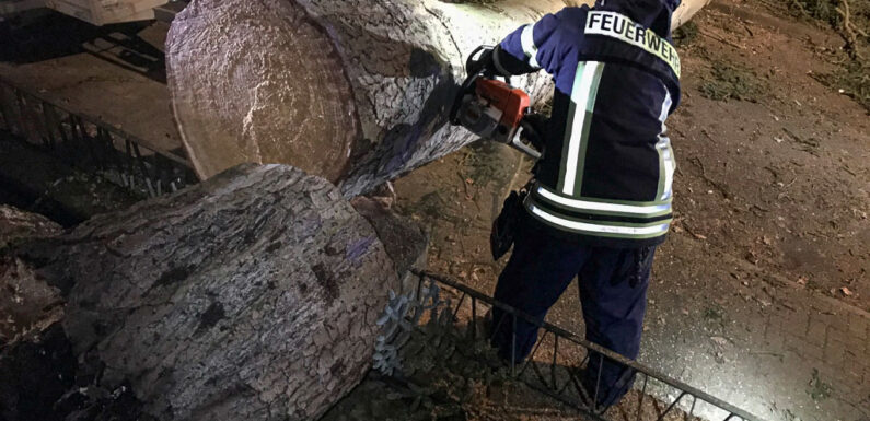 Sturmtief Victoria sorgt für Einsätze