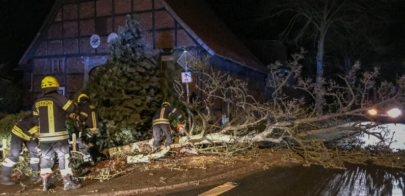 Sturmtief Sabine sorgt für zahlreiche Einsätze im Landkreis Schaumburg