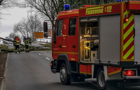 Orkantief „Sabine“ sorgt für 27 Sturm-Einsätze der Polizei Bückeburg