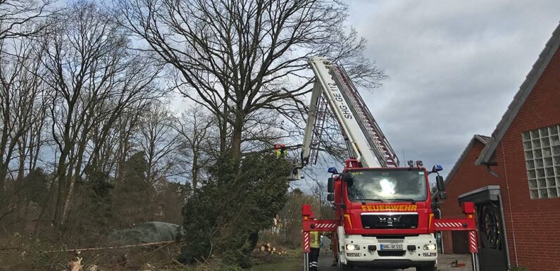 Sturmeinsatz für Feuerwehr in Wiedenbrügge