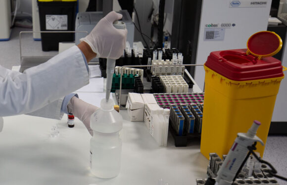 (Sammelartikel) Bisherige Entwicklung der Corona-Fälle im Landkreis Schaumburg seit März 2020