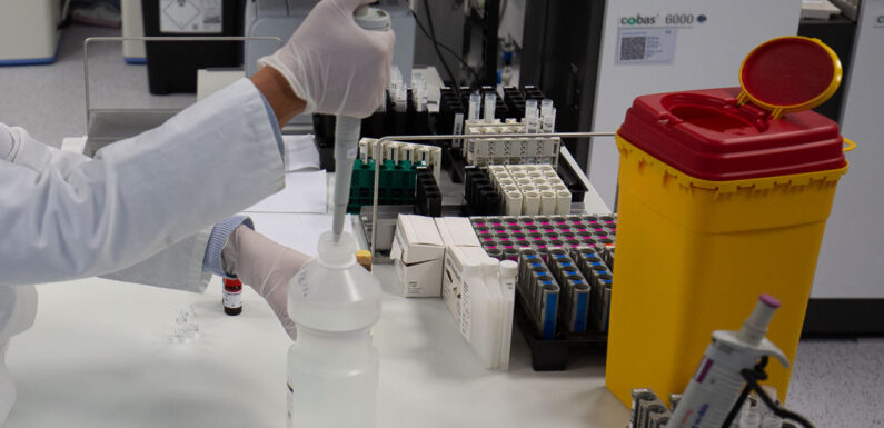 (Sammelartikel) Bisherige Entwicklung der Corona-Fälle im Landkreis Schaumburg seit März 2020