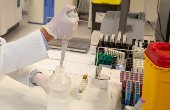 Corona-Virus: Vier bestätigte Fälle von Covid-19 in Niedersachsen