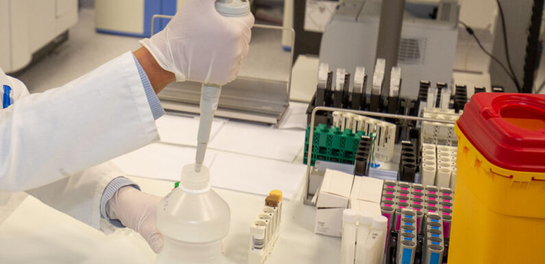 Erster Corona-Fall im Landkreis Schaumburg: Gymnasium in Rinteln bleibt für zwei Tage geschlossen