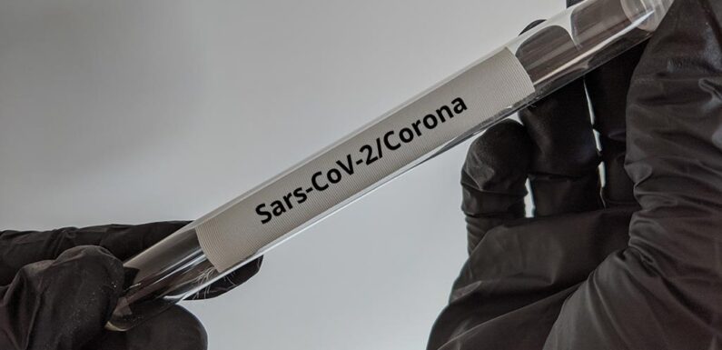 Zweiter Corona-Fall im Landkreis Schaumburg bestätigt