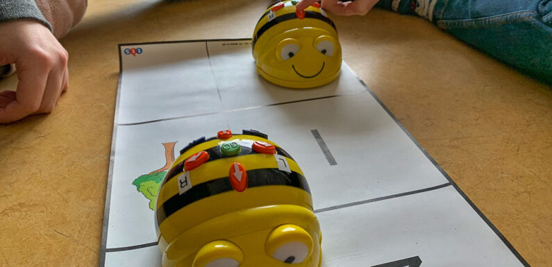 Landkreis Schaumburg: Städte und Gemeinden stimmen schrittweisen Ausbau der Notbetreuung in Kitas ab