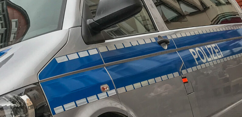 Illegale Müllentsorgung in Meinsen