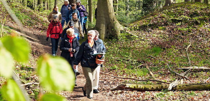 „Ab in den Deister“: Wanderspaß mit dem Wanderpass