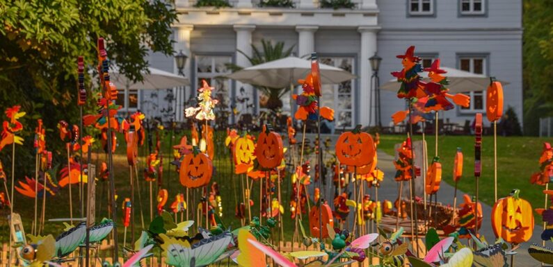 Kein Bauernmarkt in diesem Jahr: Drittes Kurparkfest wegen Corona abgesagt