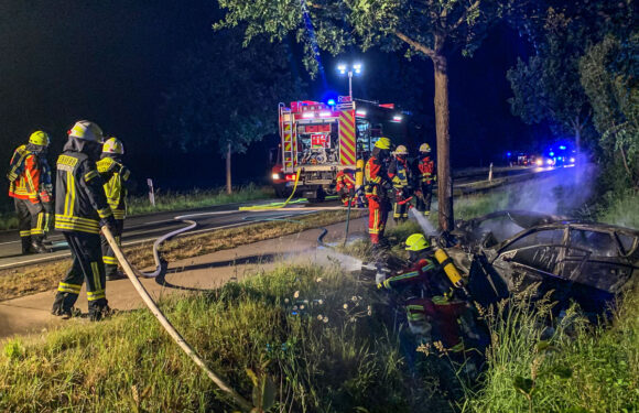 Autofahrer flüchtet in Bünde vor Polizei und prallt in Bückeburg gegen Baum