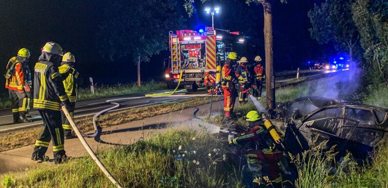 Autofahrer flüchtet in Bünde vor Polizei und prallt in Bückeburg gegen Baum