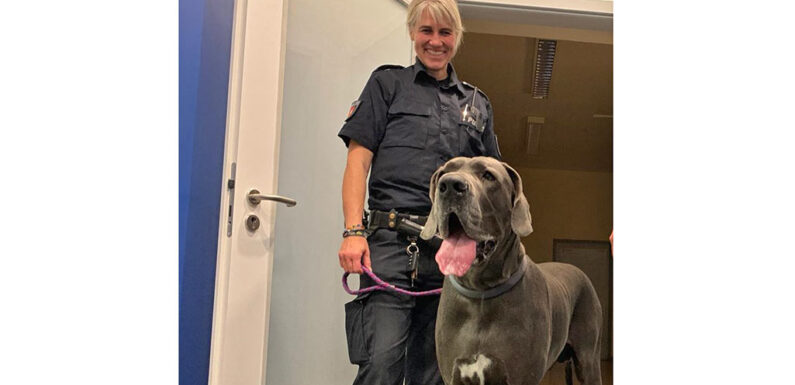 Stadthagen: „Großer“ Besuch bei der Polizei