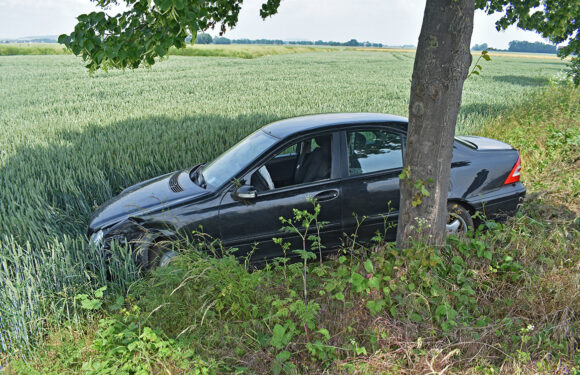 Von der Fahrbahn abgekommen und Baum knapp verfehlt