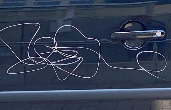 Meinsen: PKW-Autotüren zerkratzt