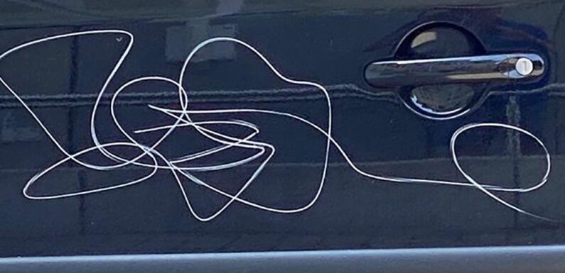 Meinsen: PKW-Autotüren zerkratzt