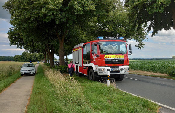 Kleine Grünfläche brennt an Bundesstraße 441 / Warnung der Feuerwehr