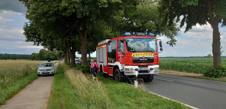 Kleine Grünfläche brennt an Bundesstraße 441 / Warnung der Feuerwehr
