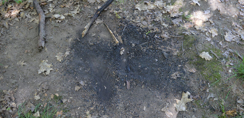 Trotz Waldbrandgefahr Lagerfeuer entzündet