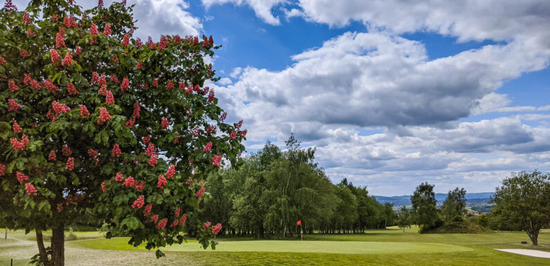 Obernkirchen: Jugendlicher auf Golfrasen unterwegs